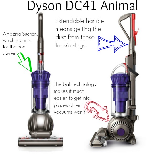 Dyson Vacuum