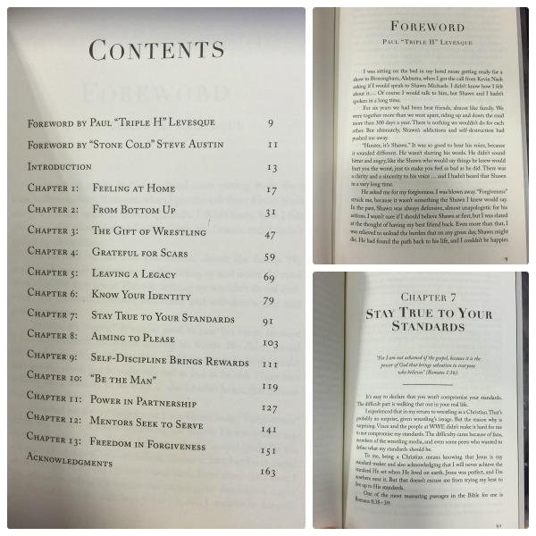 Wrestling For My Life Book