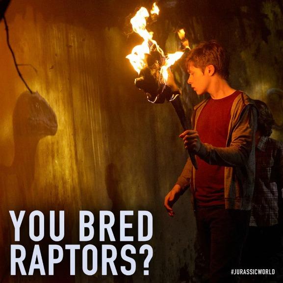 Raptors