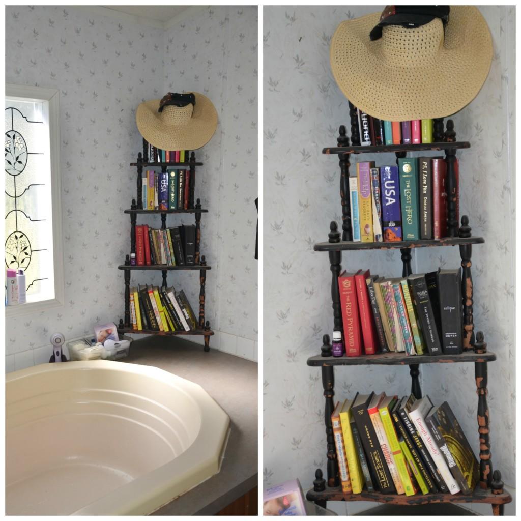 bathroom books